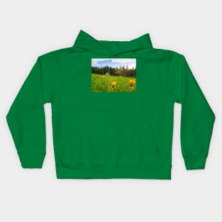 old house in the meadow Kids Hoodie